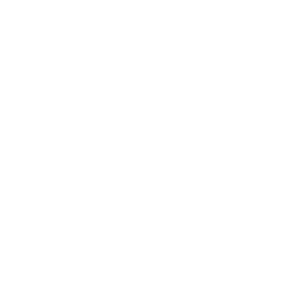 icon-mission